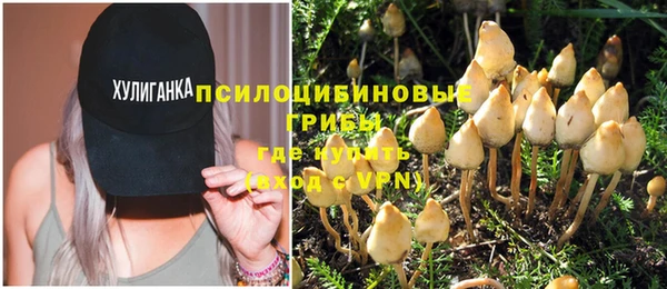 ГАЛЛЮЦИНОГЕННЫЕ ГРИБЫ Баксан