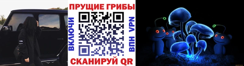 Псилоцибиновые грибы Cubensis продажа наркотиков Лабытнанги